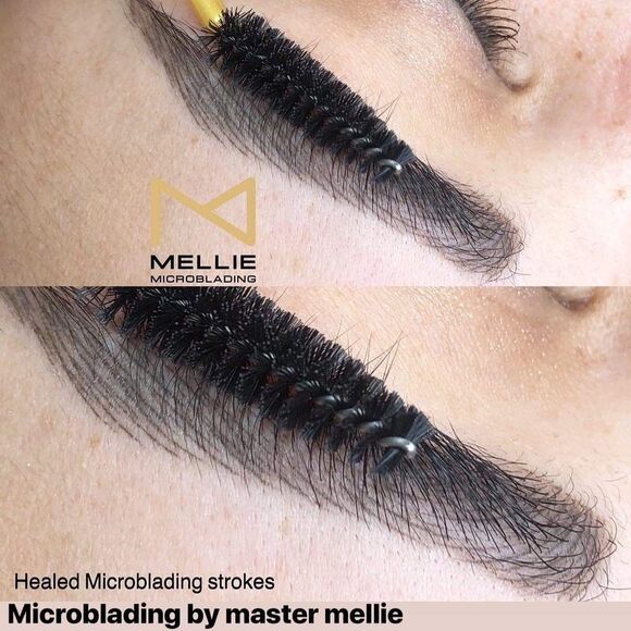 Mellie Microblading Pigment Medium Brown 10 ml/.35 fl oz No Mixing Long Lasting - Picture 5 of 9